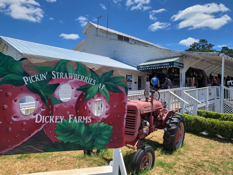 Seasonal Festivals and Community Events