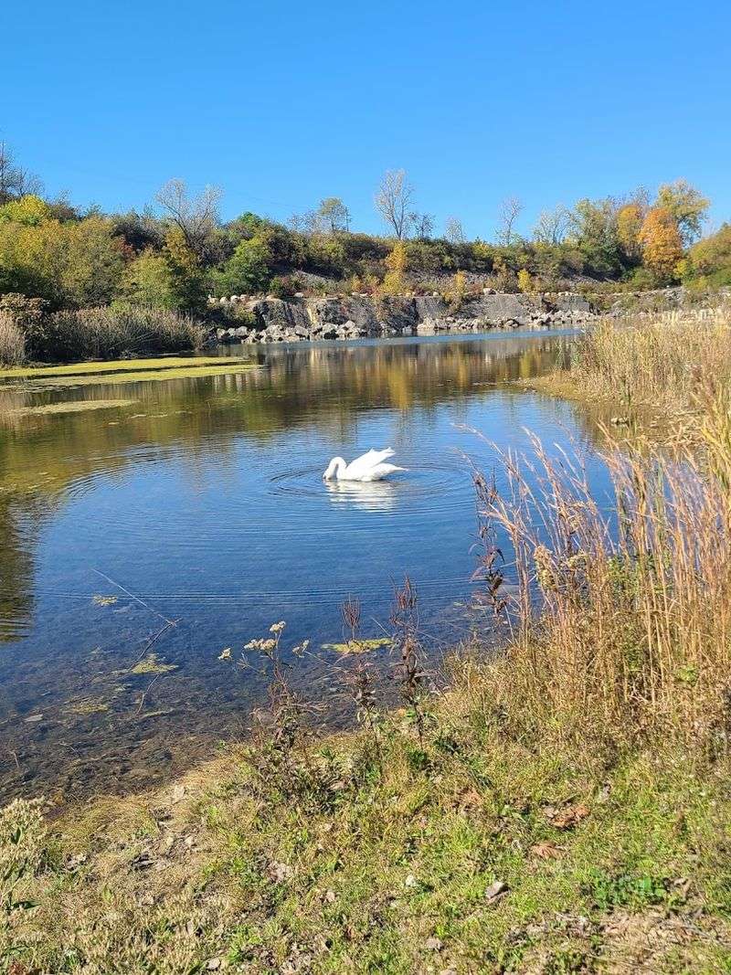 Wildlife and Vegetation Along the Route