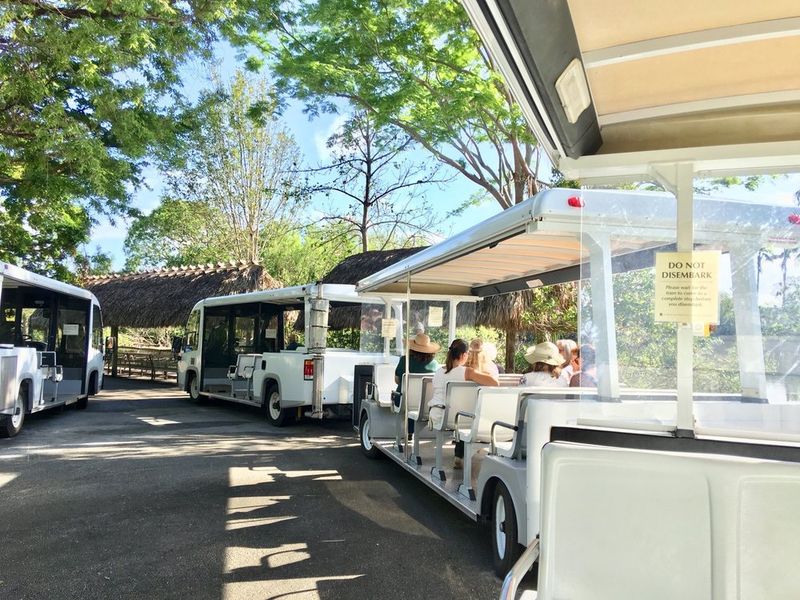 The Guided Tram Tour