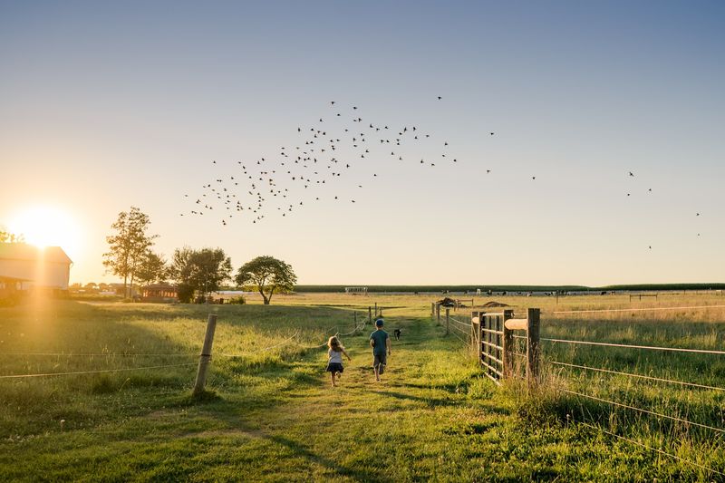 Verdant View Farm (Paradise)