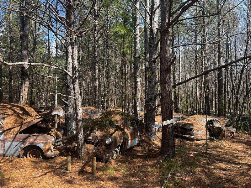 Nature Is the Real Mechanic Now