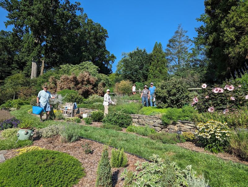 Native Plant Restoration and Conservation Work