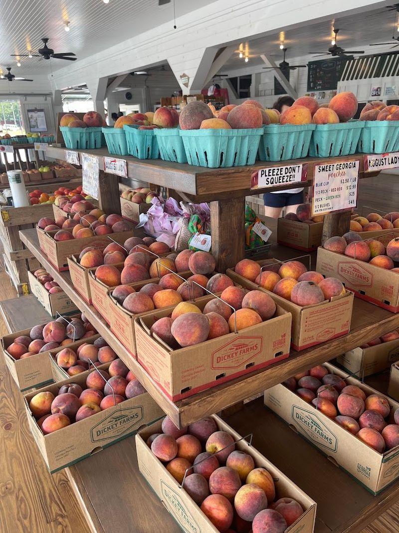 Fresh Georgia Peaches Straight from the Orchard