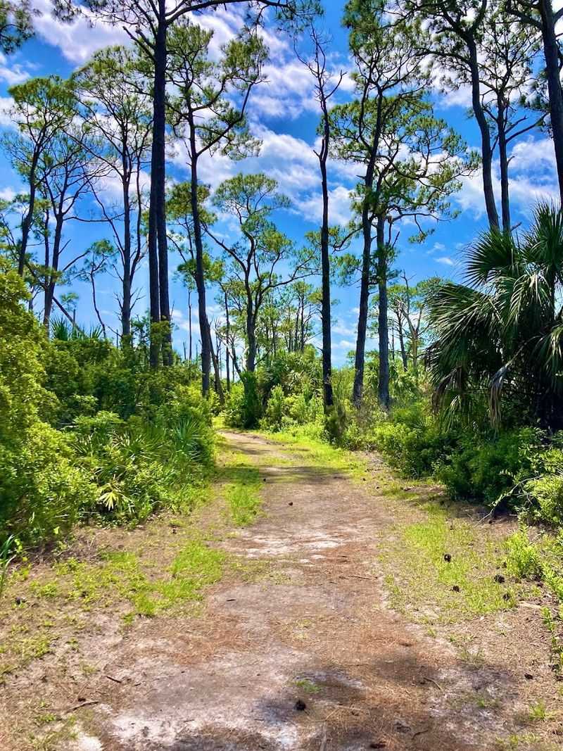 Honeymoon Island State Park