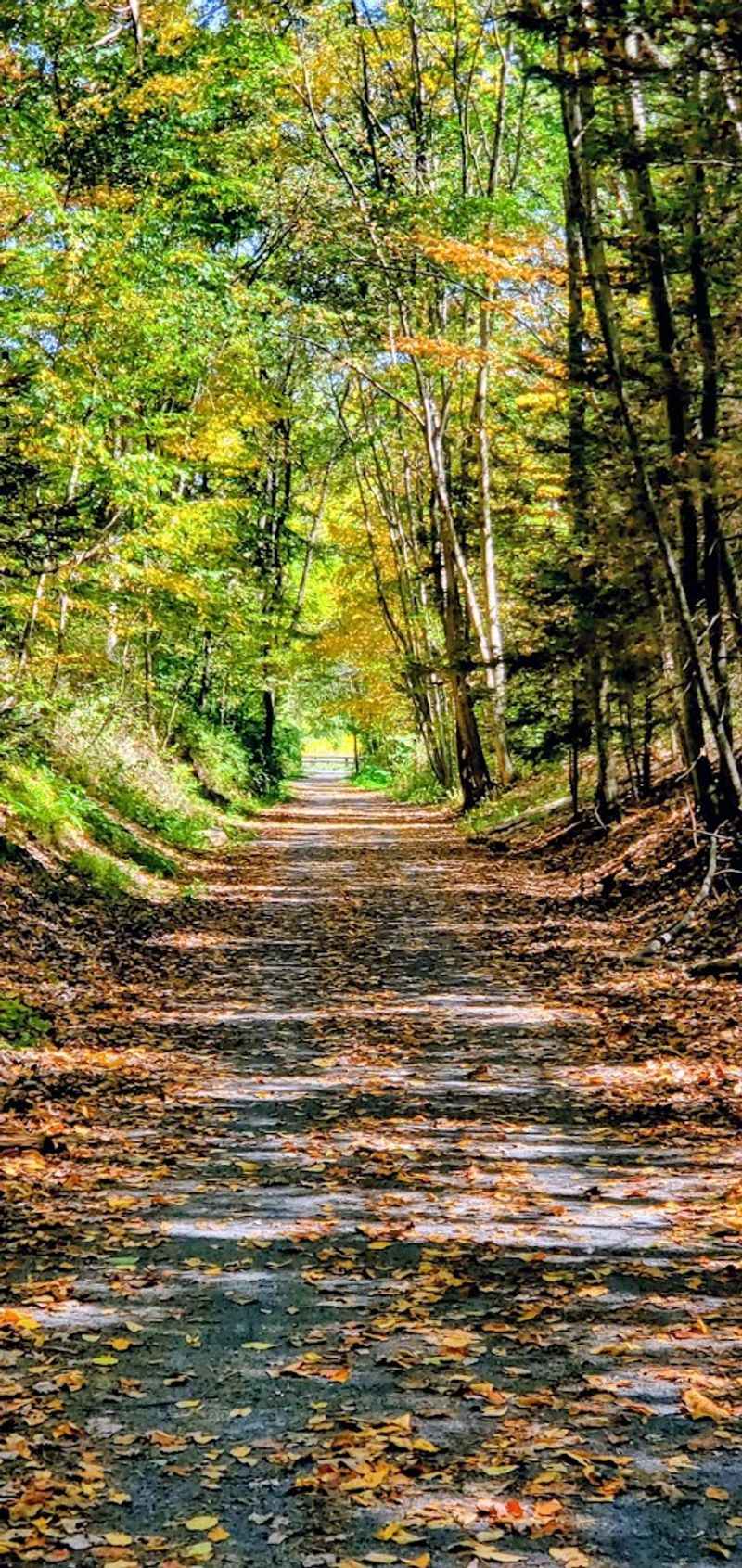 A Corridor of Trails Through History