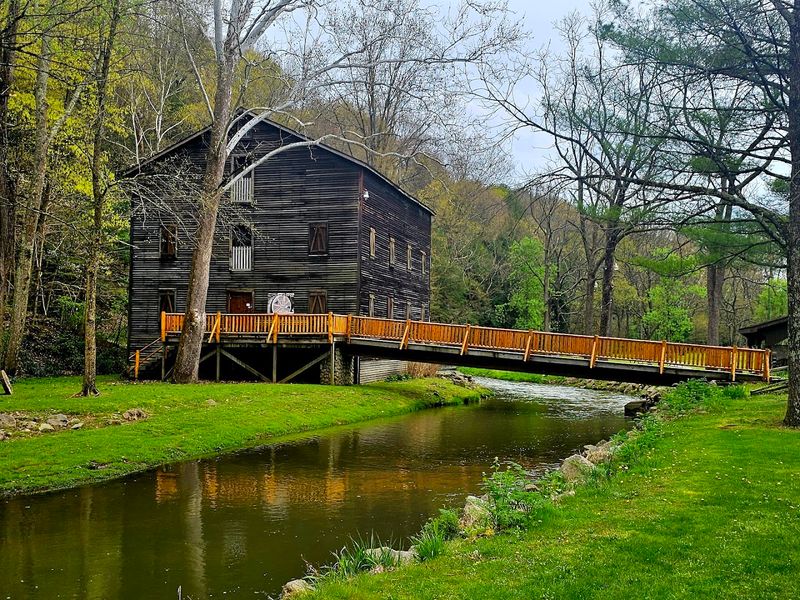 The Family-Friendly Atmosphere Perfect for All Ages