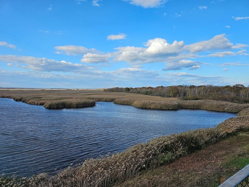 Freshwater Impoundments