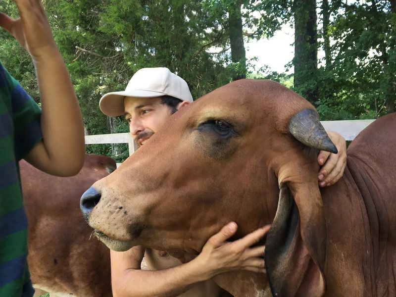 Nom, the Knowledgeable and Welcoming Caretaker