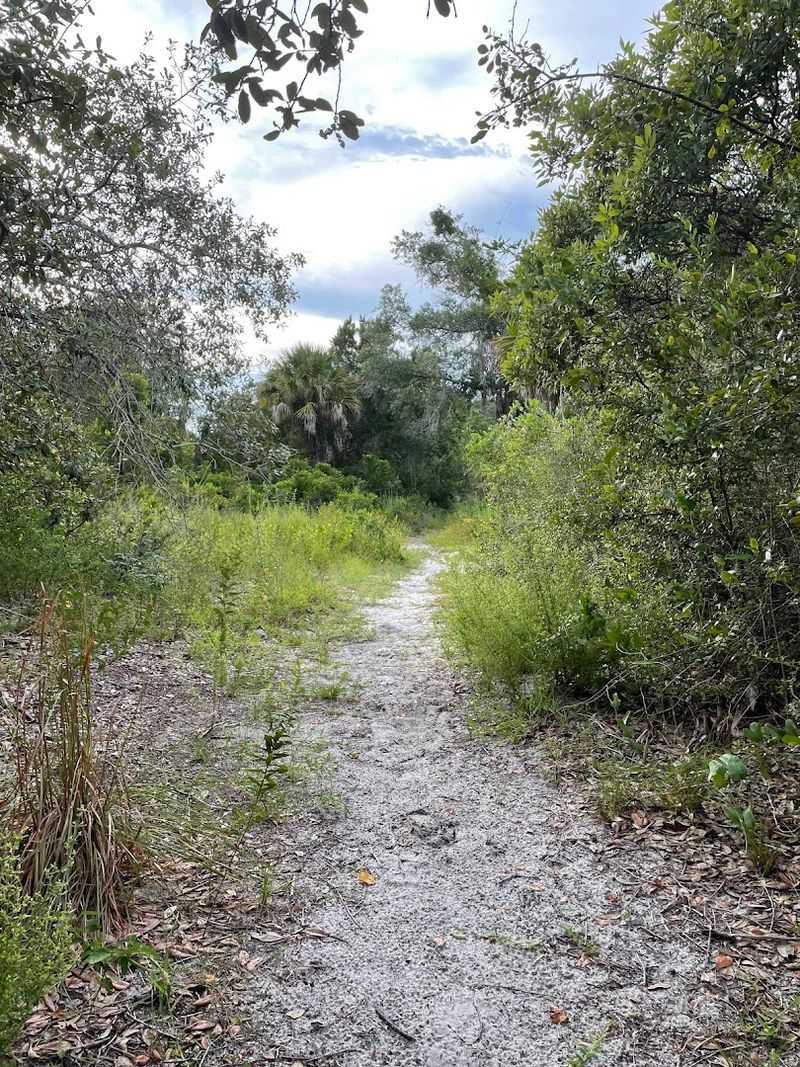 Walking Trails Through Maritime Forest