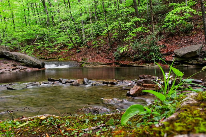 Regulars, Newcomers, and the Informal Summer Crowd