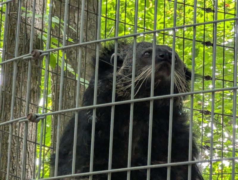 The Non-Cat Residents Add A Strange Little Plot Twist