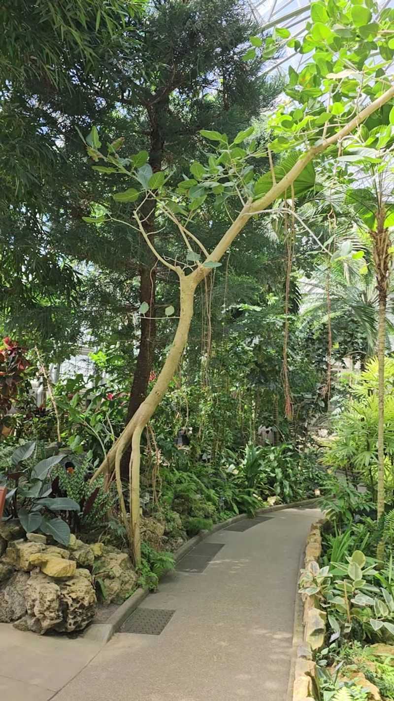 Walk Through Distinct Climate Zones