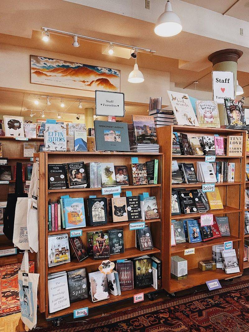 Staff Picks That Steal the Spotlight