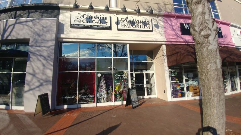 Village District Location and Operating Hours