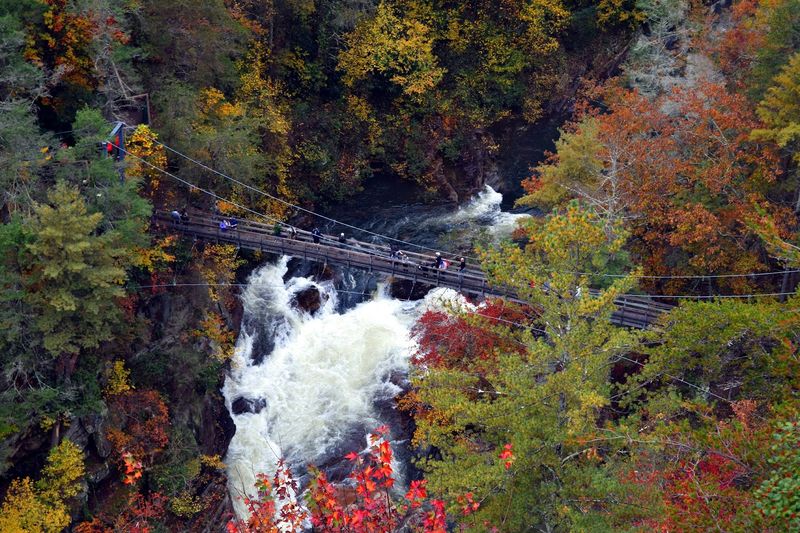 Suspension Bridge Adventure