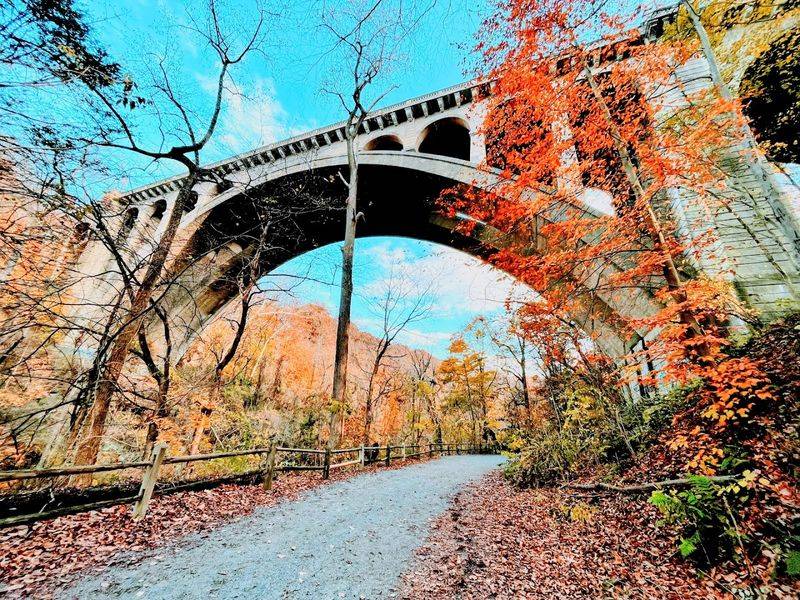 Fall Foliage Season: When the Park Turns Into a Painting