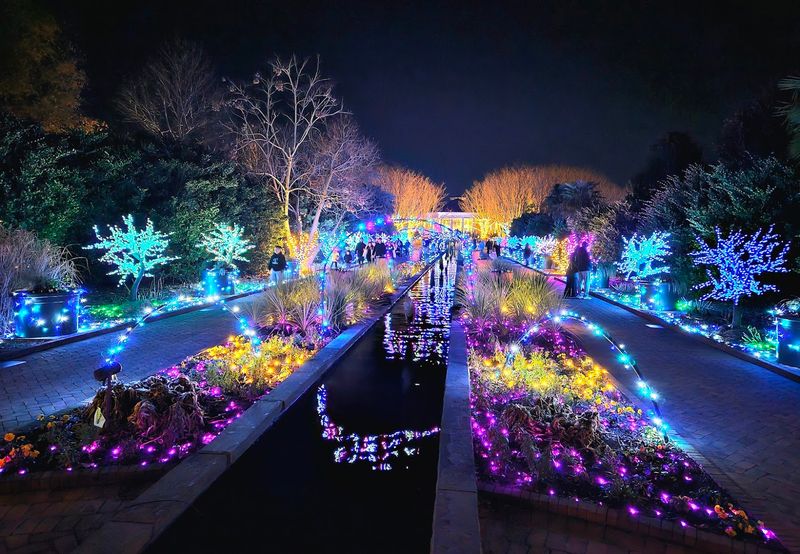 Special Events and Seasonal Programming