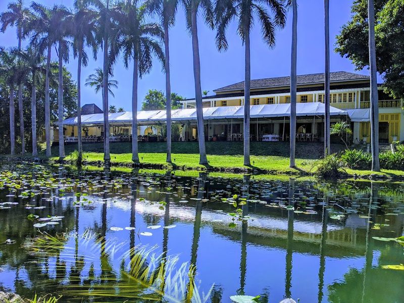 The Freshwater Marsh and Wildlife Habitat