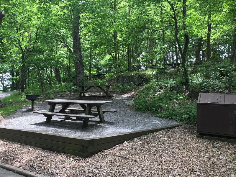 Picnic Areas Perfect for a Mountain Lunch Break