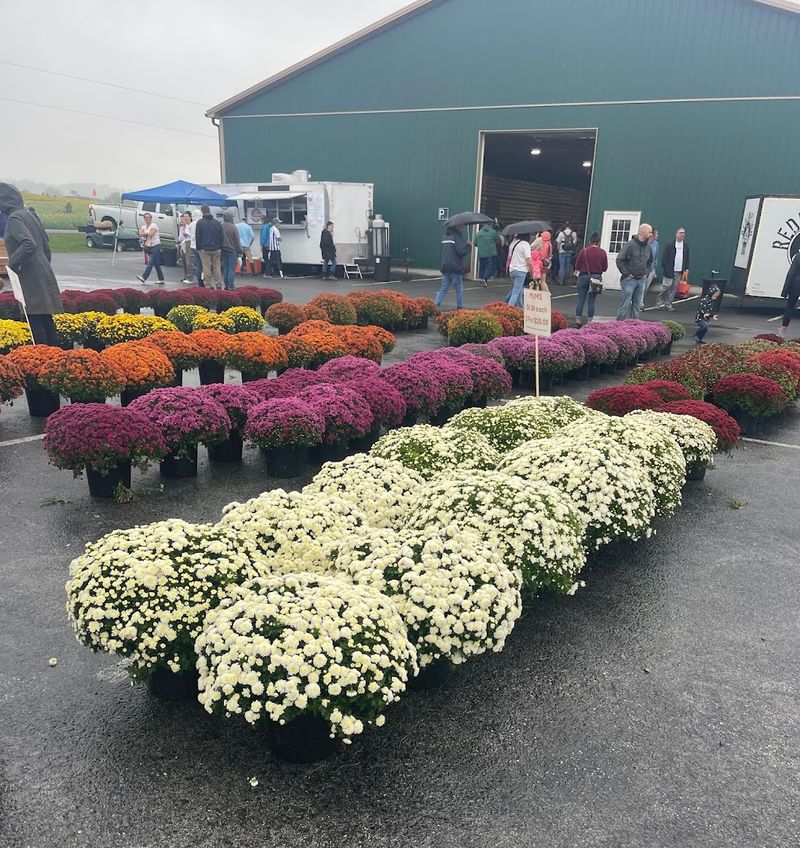 Timing Matters More Than You Might Think