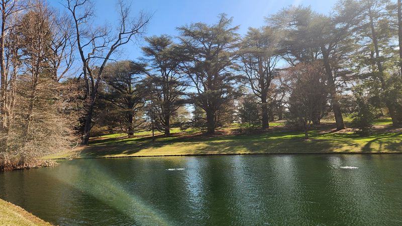 Eighteen Pools, Each with Its Own Rhythm