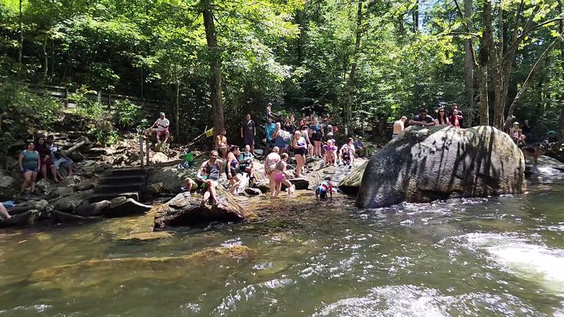 Visitor Tips and Insider Advice