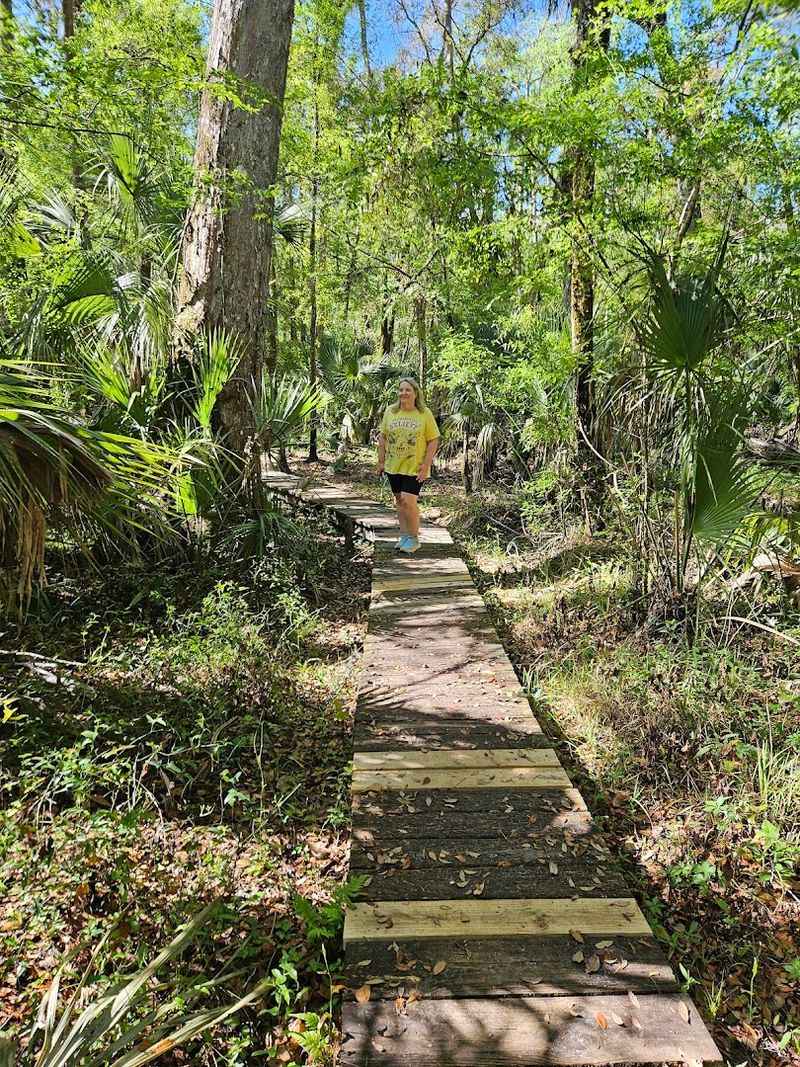 Hiking Trails That Wind Along the River