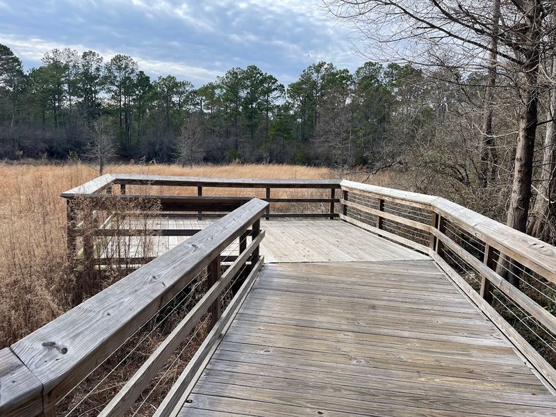 A Natural Focal Point on the Main Loop