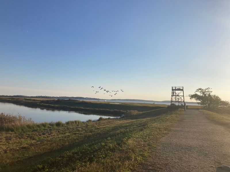 Trail Length, Difficulty, and What to Realistically Expect