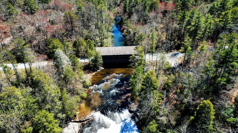 Wildlife and Nature: Mushrooms, Birds, and Mountain Magic