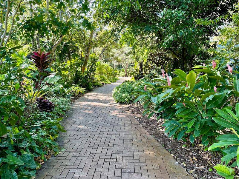 The Canopy Walk and Scenic Overlooks