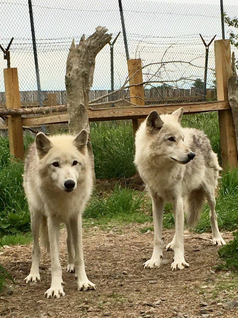 What You Will Learn During The Presentation