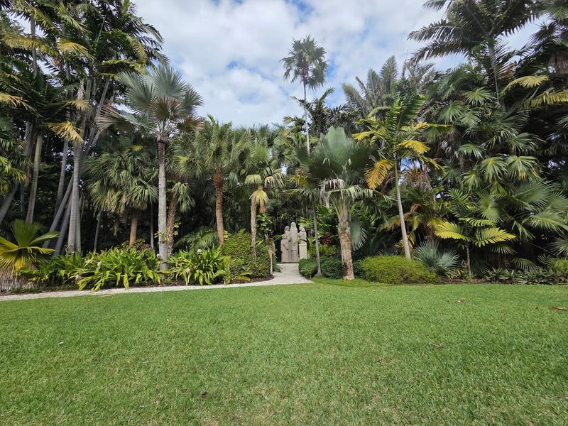 A Rare Collection of Exotic Palms