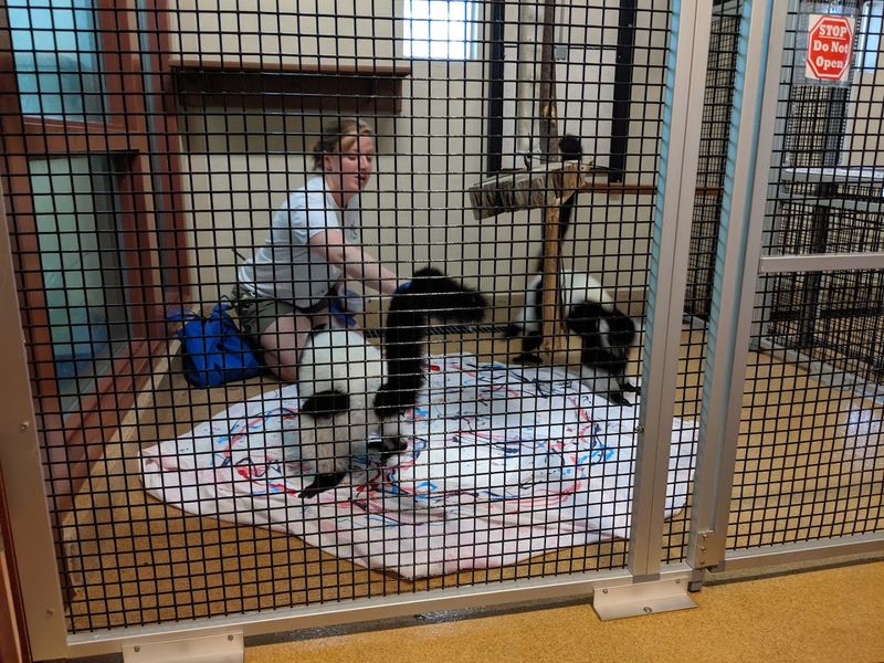 The Behind-the-Scenes Tour Experience