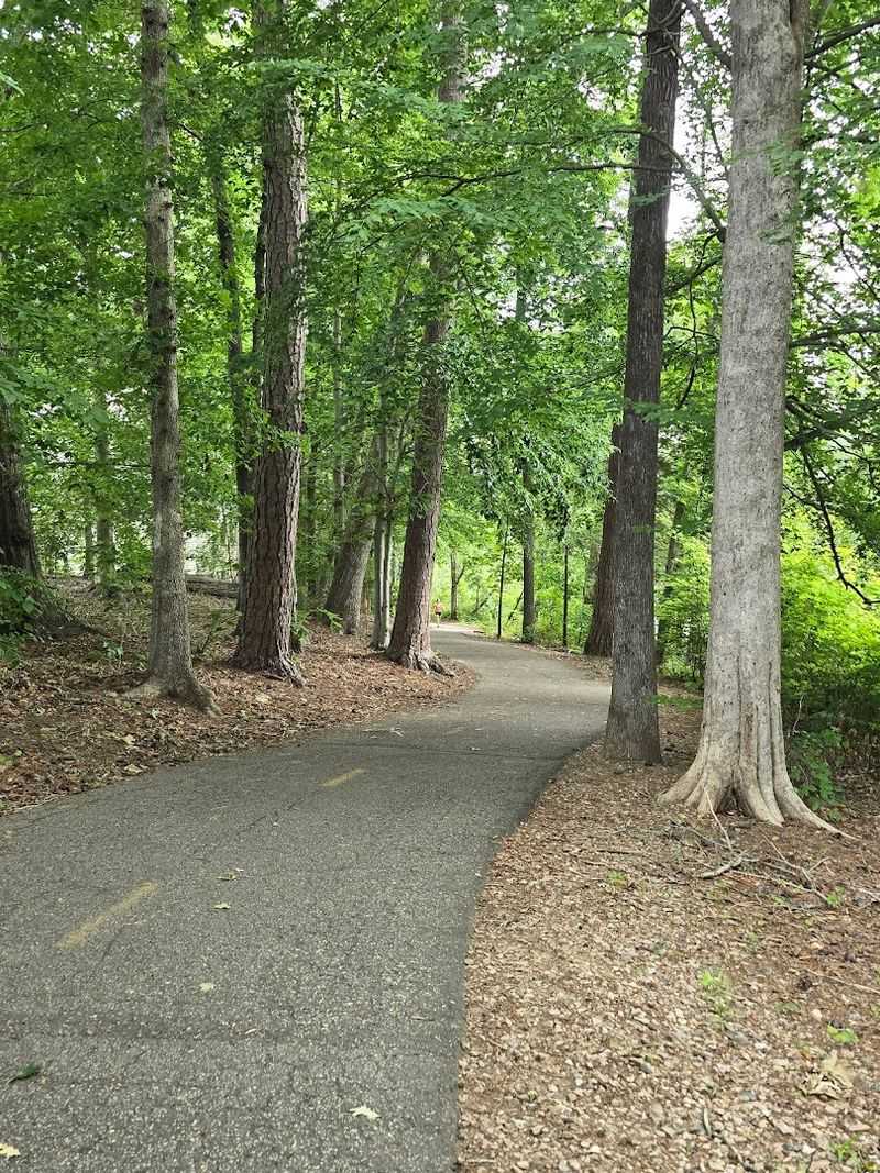 Creekside Trails Through the Trees