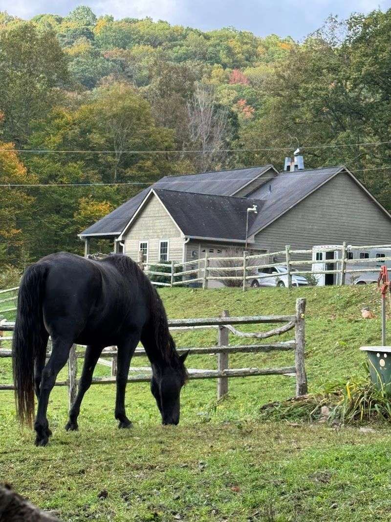 Willet Ponds Farm (Todd)