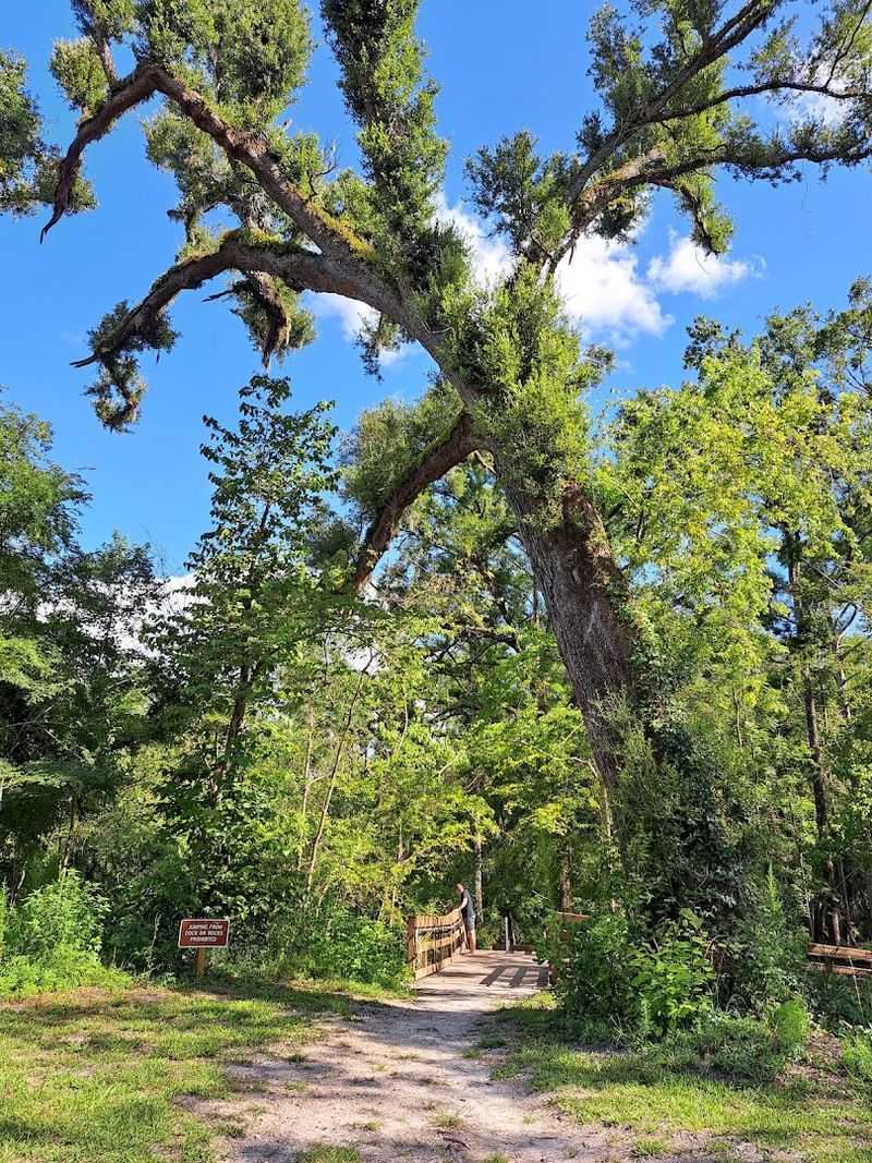 Useful Things To Know Before You Pull In