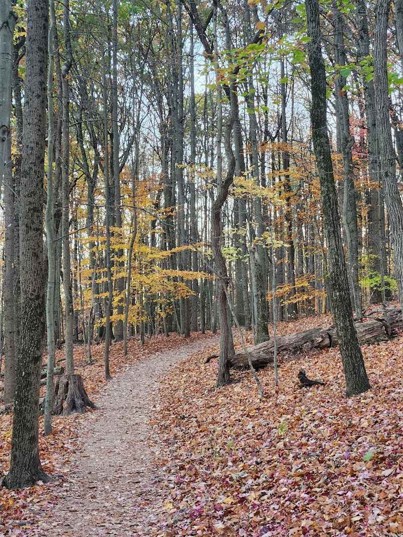 Yellow Springs: One Street, A Lot of Personality