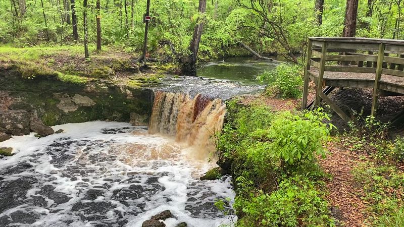 A True Florida Waterfall