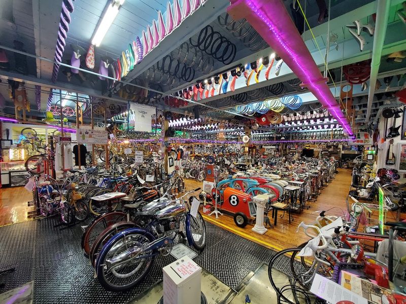 A Collection of Over 3,000 Bicycles Spanning More Than a Century