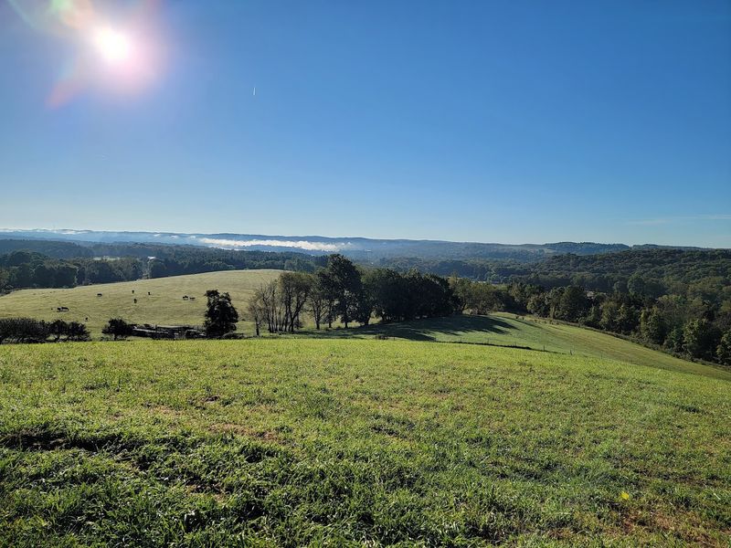 A Farm Designed as a Living Experiment