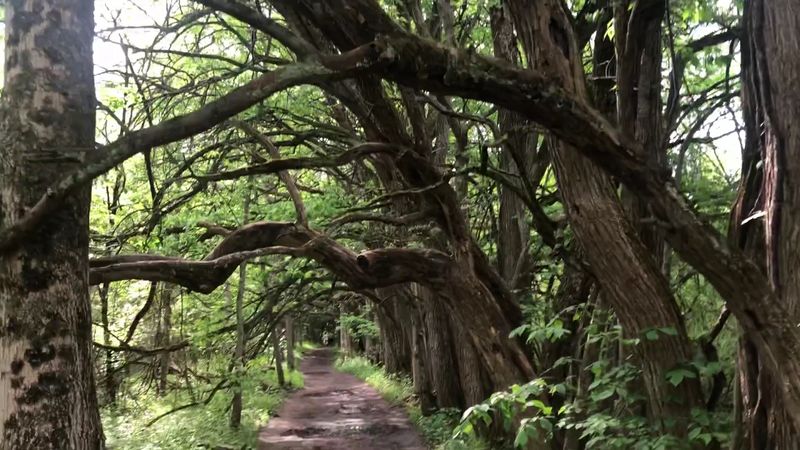 The Green Loop Trail &mdash; Best for Scenic Variety