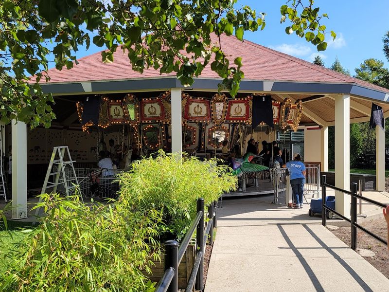 The Classic Carousel: Timeless Fun in the Heart of the Park