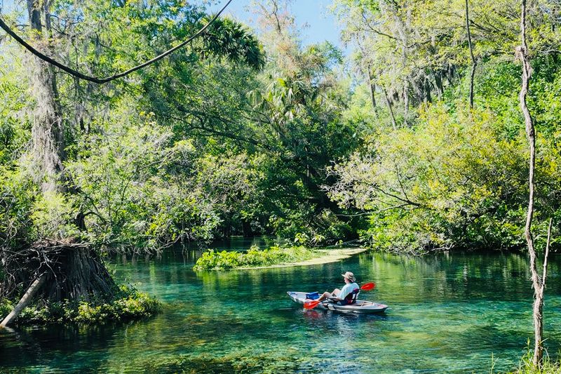 Kayaking Through Florida's Rare River Rapids