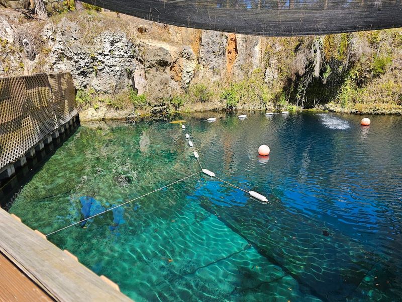 The Stunning Descent Into an Underground Oasis