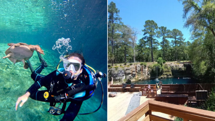 There’s a Place in Central Florida Where You Descend a Staircase Into a Cavern and Snorkel in Glowing Blue Water