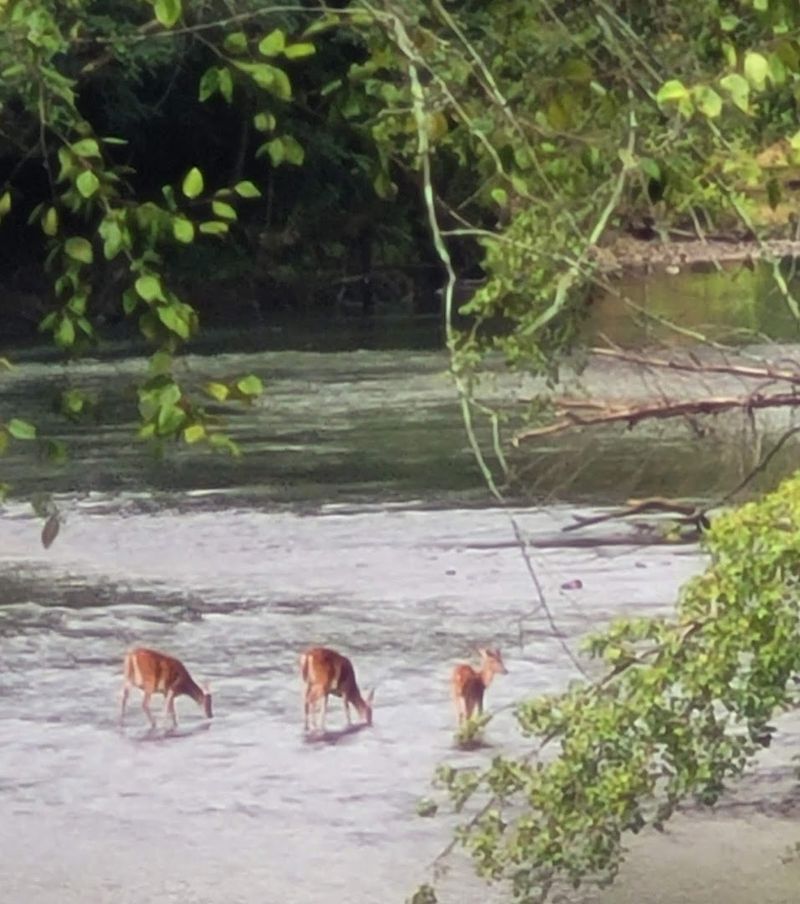 Catawba River Greenway (Morganton)