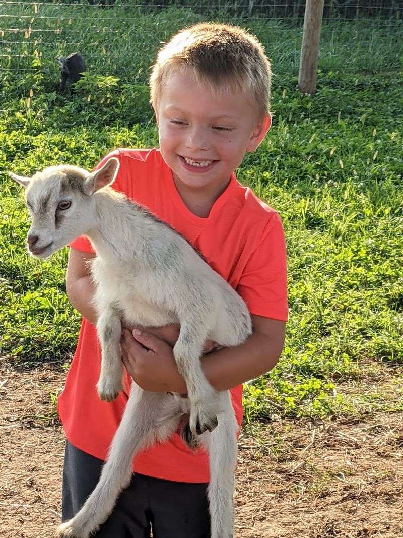 Verdant View Farm Bed & Breakfast (Paradise, Lancaster County)