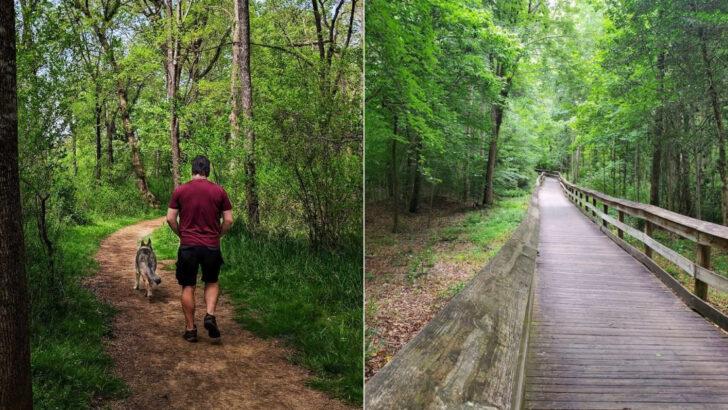 These Greenways in North Carolina Seamlessly Connect Downtown Spots With Miles of Peaceful Trails