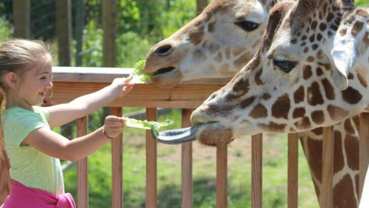 These Pennsylvania Petting Zoos and Family Farms Make Easter Even More Special